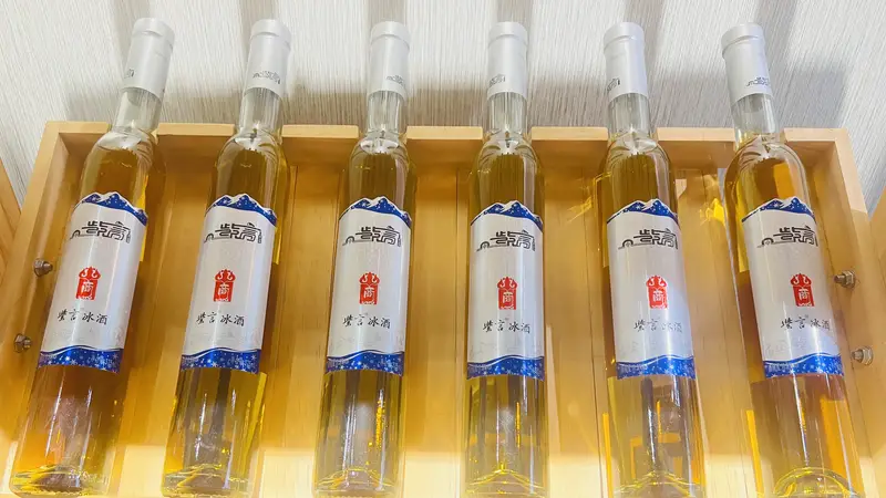高品质冰酒产自中德加少数地区 紫言酒庄山葡萄冰酒酿造有讲究
