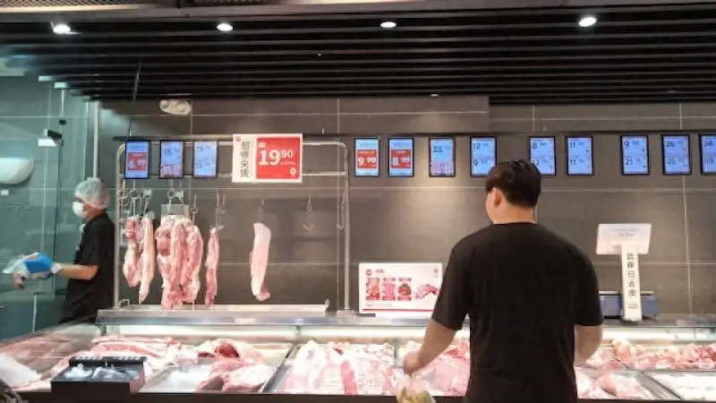 猪价反弹20%重回“10元时代”,上市猪企仍在亏损,行业反转还有多远?