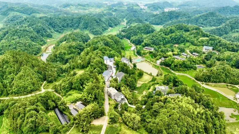 宽阔:清凉夏日引川渝“候鸟”归巢