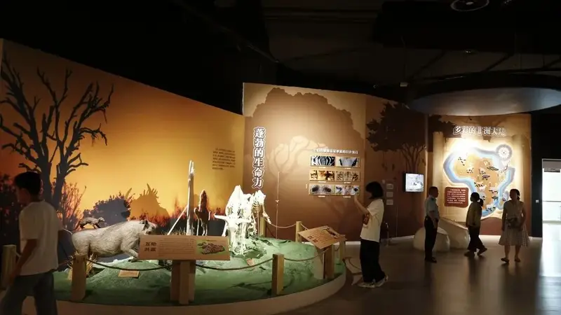 重庆自然博物馆新展:邂逅非洲野生动物,探索生命奥秘