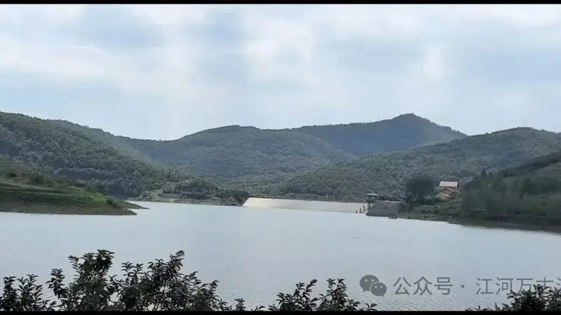 黑虎山的日常:看云从山坳里生,在岩缝里藏着惊世花