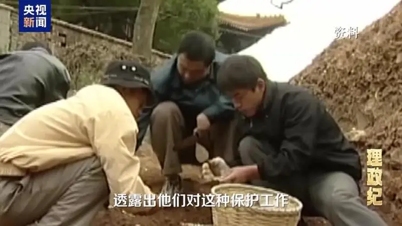 联合国教科文组织第48届世界遗产大会批准景德镇手工瓷业遗存列入《世界遗产名录