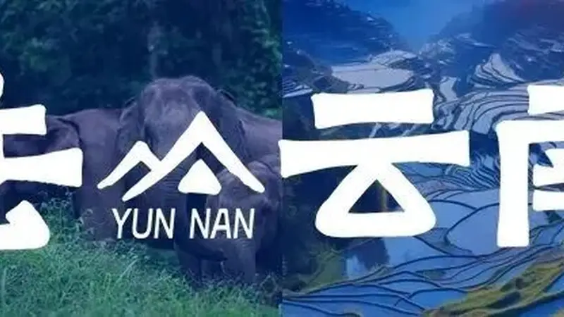 8月云南三大胜地咖啡打卡 大理观霞丽江望雪山保山赏云