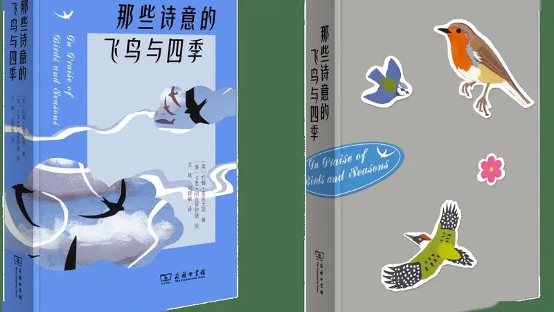 70余幅印象风鸟插画的这本图鉴 让读者放下手机沉浸式观鸟一上午