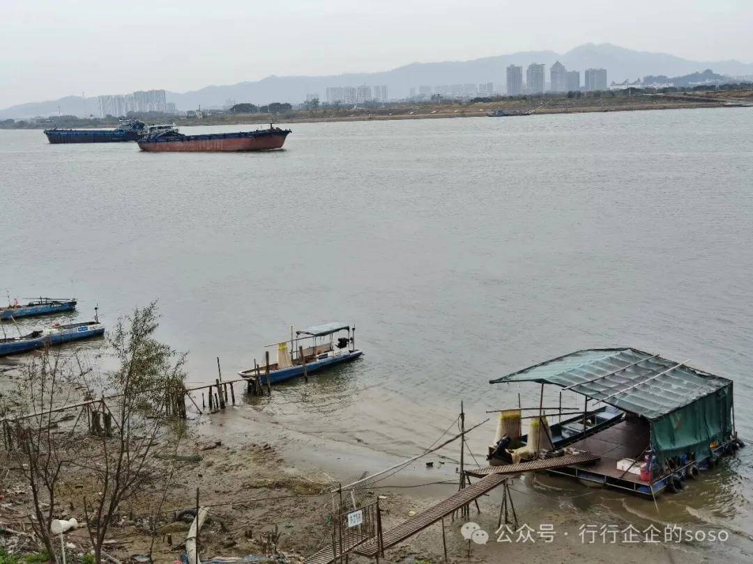 平沙岛的番外篇 西江河鲜美食
