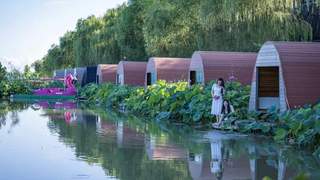 息县：盛夏赴约观荷韵 乡旅兴业暖童心