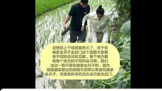 湖北产妇为遵从习俗艰难踩稻田回家坐月子