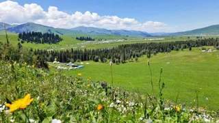 伊犁河谷冬季及四季旅行全指南 涵盖核心场景交通住宿美食
