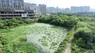 湖南祁东奥园广场烂尾：购房户退款陷僵局，接盘方称款未解冻