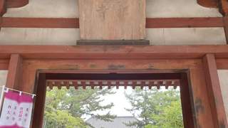唐招提寺的莲 | 陆春祥