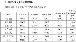 阿特斯回复2025年年报问询函：美国新法案冲击下 公司将变身“包租公”