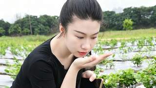 闽侯竹岐荒芜滩地变身赏花点