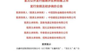 科创板第二大IPO:国产DRAM龙头长鑫科技7月16日新股申购,拟募资295亿元