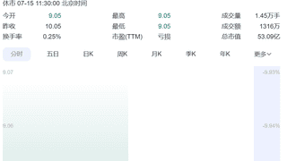 600730，一字跌停！90后董事长和85后董事被刑事立案：涉嫌挪用资金！二人“入主”公司仅5个月，3个月前才进董事会