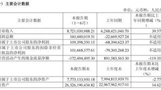 容百科技上半年盈利扭亏 营收增长但经营现金流大幅下降