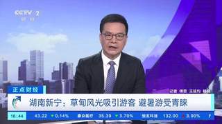 解锁多元避暑玩法：草原森林村晚清凉一夏