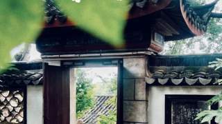 大暑：盛夏极致，静候清风