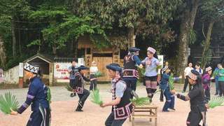 返乡青年带火哈尼文化 村寨蝶变引研学热