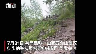 7月31日五台山传驴友遇雷电 忻州官方回应排除雷击致险