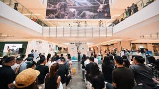 8月15日重庆将呈现四大美院作品，同步设艺术活动与川美毕设展