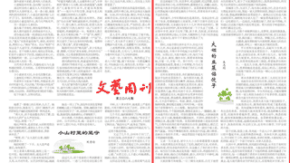 长姐撑起家 韭菜馅饺子是难忘念想