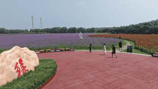 查干湖契丹岛百花园进入盛花期 花海湖景交织引游客乐享夏日风光