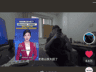 招到人了!住山顶30天当“云海观察员”,月薪6万元、吃住全包