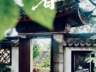 大暑:盛夏极致,静候清风