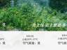 镇坪特色美食受青睐 萝卜心肺汤和土灶一锅炖成味蕾名片