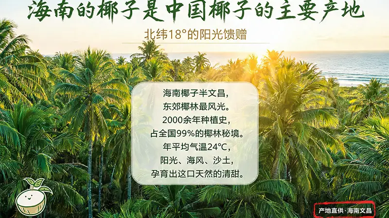 椰子水禁忌人群要当心 这份科学解读别错过
