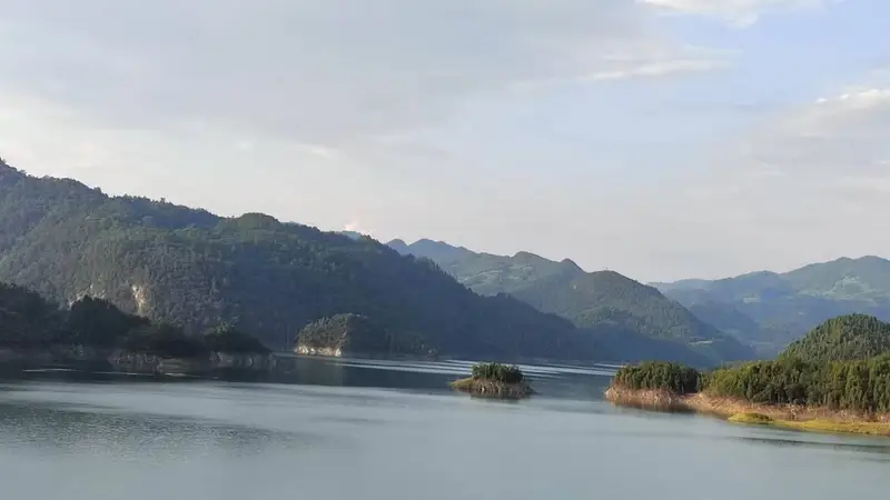千年茶韵遇上现代匠心——乌江两岸女贞丸与传统苦丁茶的“隔空对话”