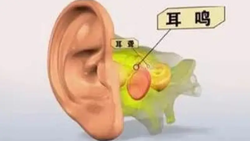 腰果的营养价值?