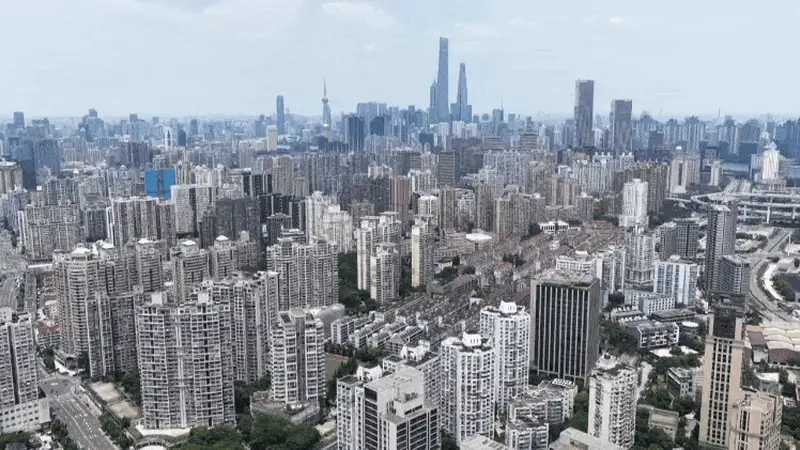 时政微纪录丨习近平总书记上海行