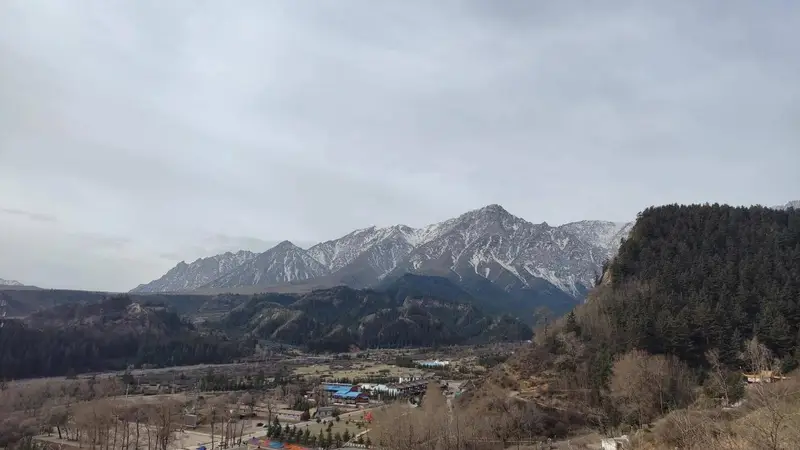 2026青甘大环线选旅行社避坑指南:硬标准与避坑技巧