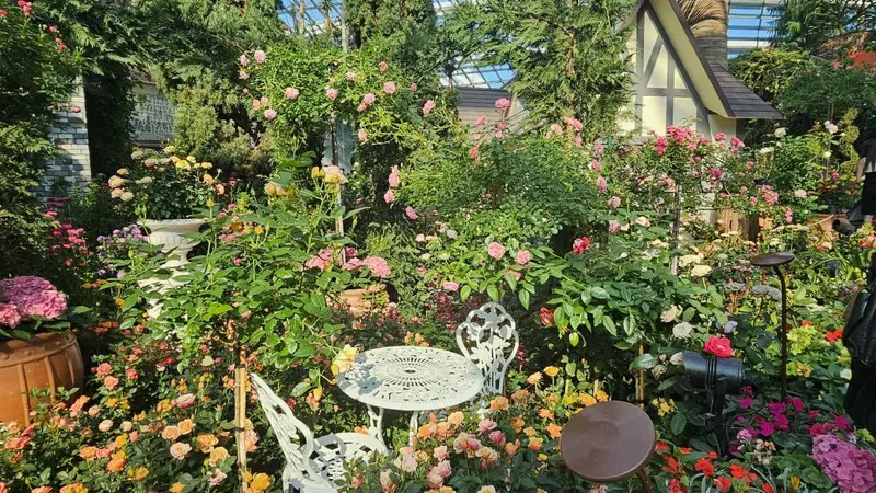 大型活动城市导览:游客点赞背后的节奏失控隐忧