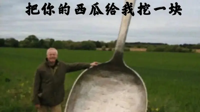 :西瓜的“荤菜”变身:腌西瓜的奇妙吃法