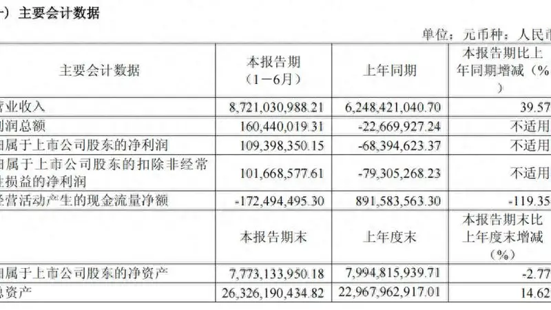 容百科技上半年盈利扭亏 营收增长但经营现金流大幅下降