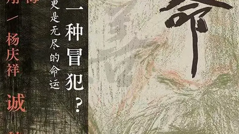 陇东乡村的这场意外 让两位老人陷入熬不尽的困境