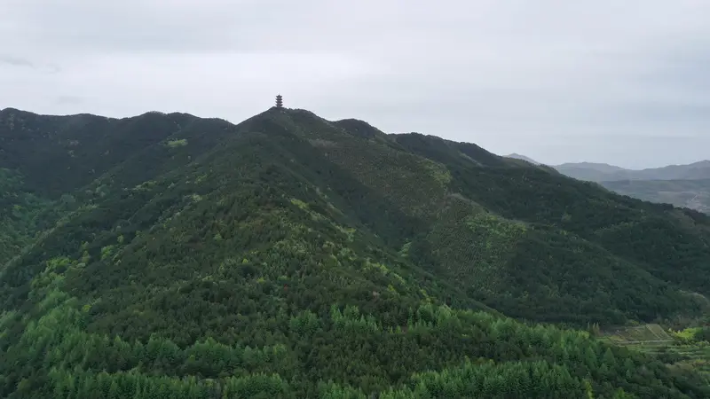 太白山巡查查处违规闯保护区 多人被处罚有人罚万元 涉事单位学校被通报
