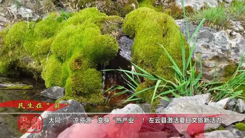 大同左云借清凉气候资源 激活夏日文旅产业活力