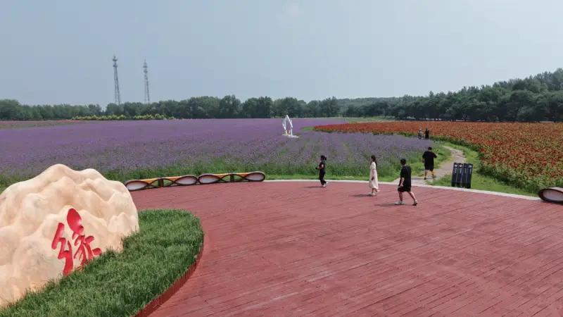 查干湖契丹岛百花园进入盛花期 花海湖景交织引游客乐享夏日风光