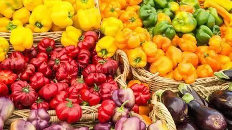 夏秋交替饮食有讲究 家常食材这样搭才均衡