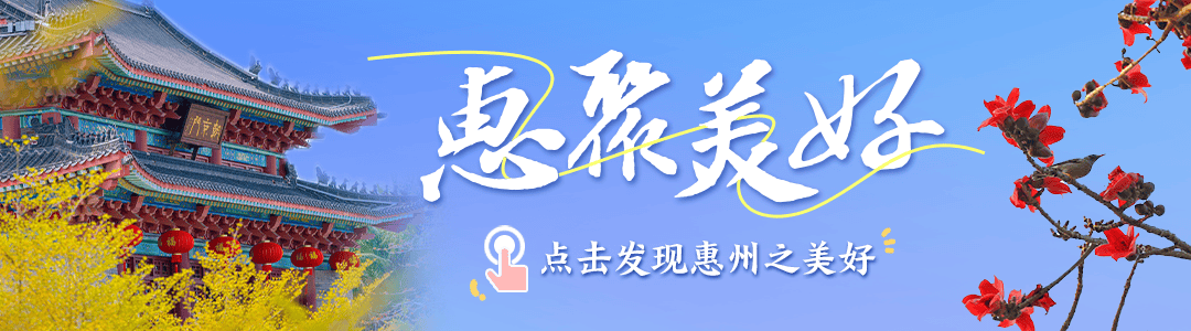 惠聚美好丨惠州夏日限定荷花美景，等你来打卡！