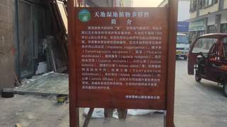 2026优选长沙专业的景区导视牌供应商，深度解析与推荐