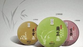绿雪芽与福鼎白茶：同源共脉的茶产业传承与价值探索
