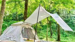 沙松岭露营地迎来城里游客 山村旅游创收富了村民
