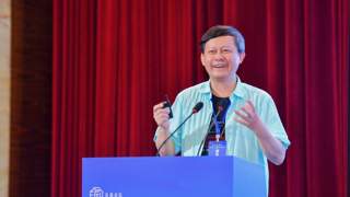 中国社科院研究员张继焦：冼夫人信俗不仅是粤琼地域文化，更是具有国家价值的文化