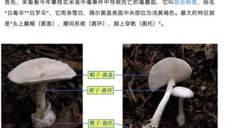 郑州一火锅店菜单现剧毒“白杆杆”?店家称正规渠道采购,当地市监未接到相关投诉