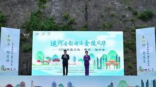 运河牵起双城缘！2026枣庄文旅推介会亮相南京老门东