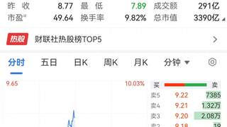 京东方，跌停拉到大涨4%